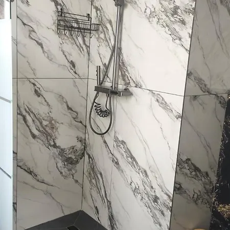 Carul Cu Flori Craiova