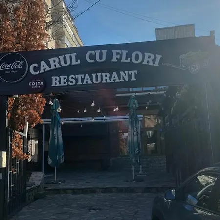 Carul Cu Flori 3* Крайова