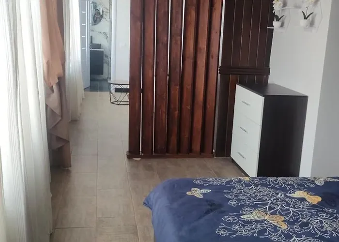 B&B Carul Cu Flori Craiova