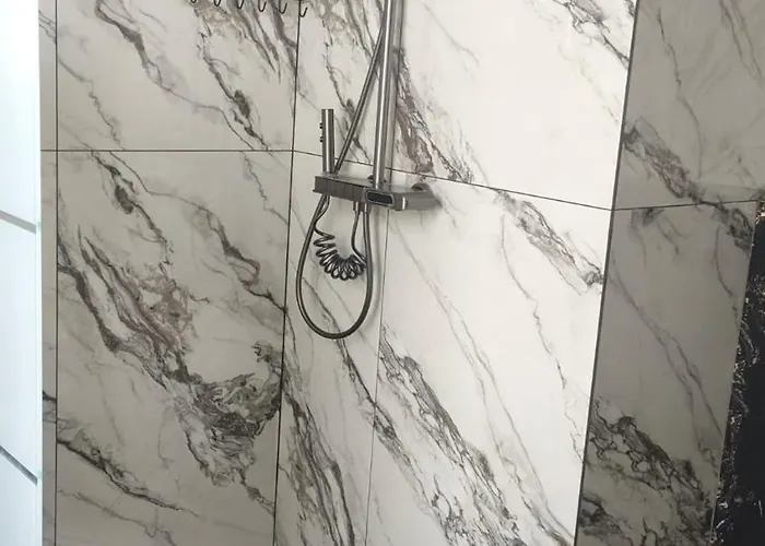 Carul Cu Flori Craiova