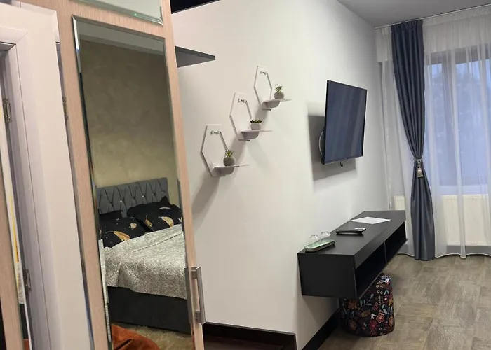 Carul Cu Flori B&B 3*