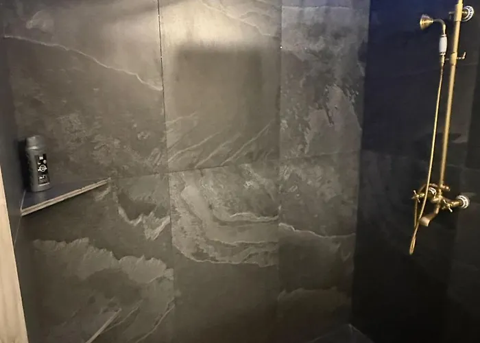 B&B Carul Cu Flori Craiova