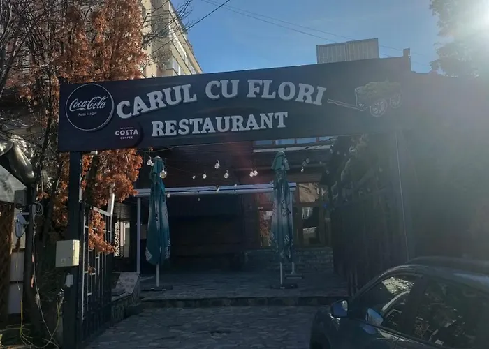 Carul Cu Flori 3* Craiova